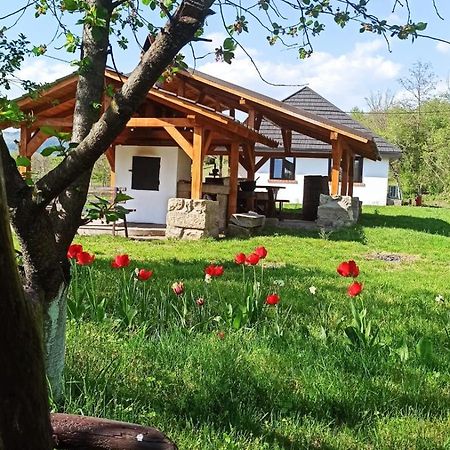 Casa Livada Bunicii Villa Tîrgu Ocna Eksteriør bilde