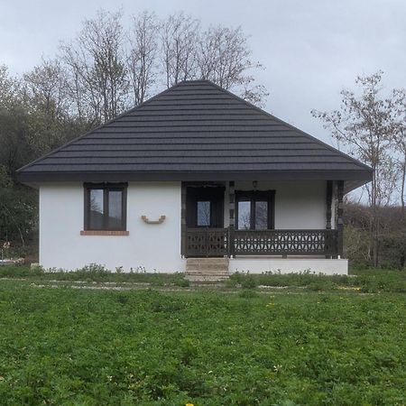 Casa Livada Bunicii Villa Tîrgu Ocna Eksteriør bilde