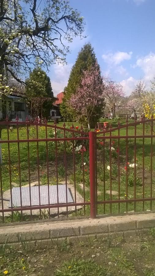 Casa Livada Bunicii Villa Tîrgu Ocna Eksteriør bilde