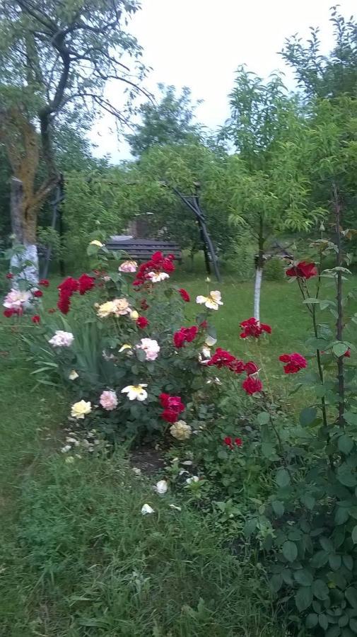 Casa Livada Bunicii Villa Tîrgu Ocna Eksteriør bilde
