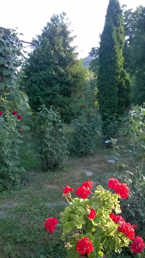 Casa Livada Bunicii Villa Tîrgu Ocna Eksteriør bilde