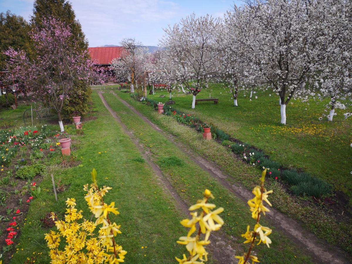 Casa Livada Bunicii Villa Tîrgu Ocna Eksteriør bilde