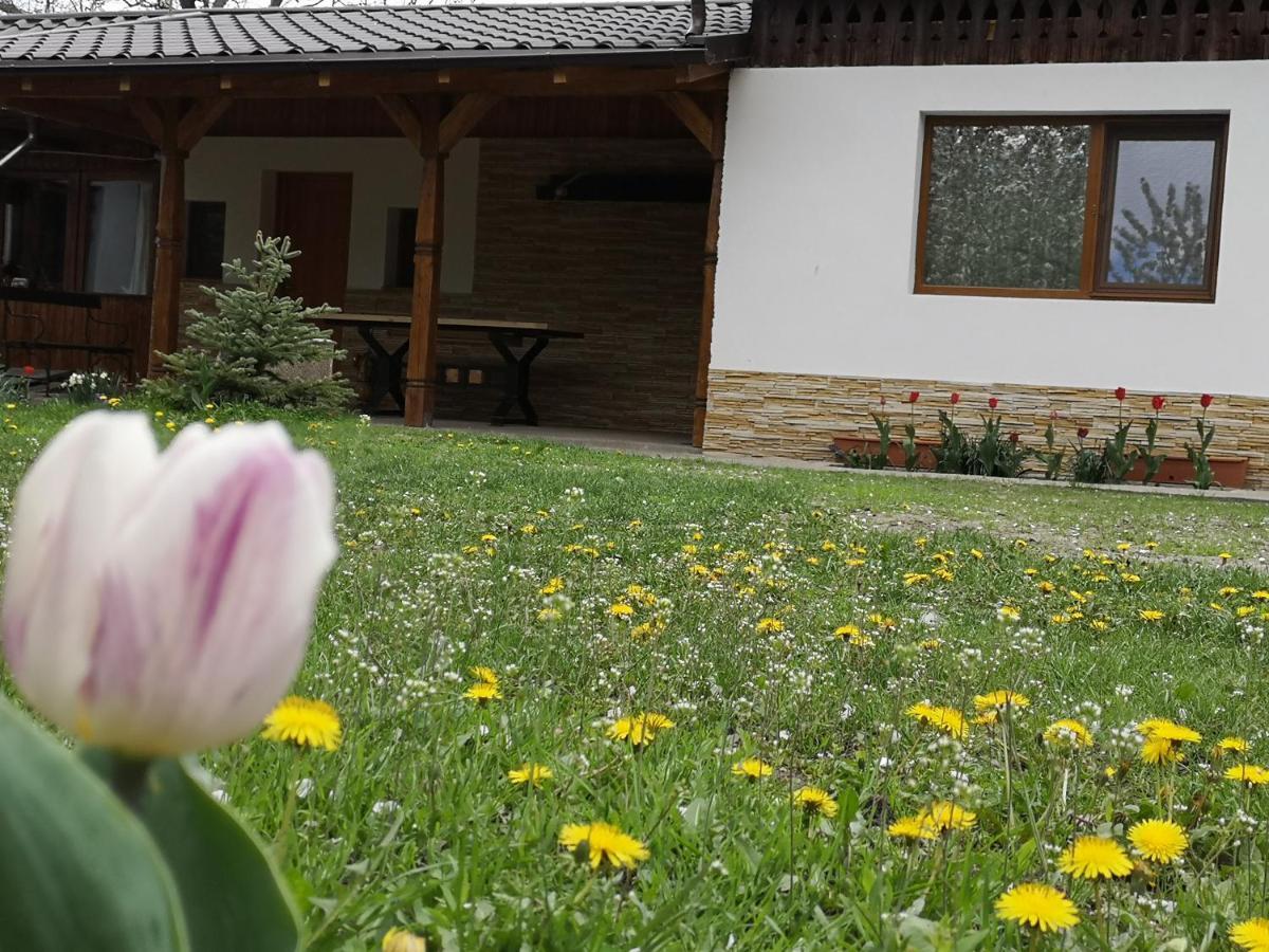 Casa Livada Bunicii Villa Tîrgu Ocna Eksteriør bilde