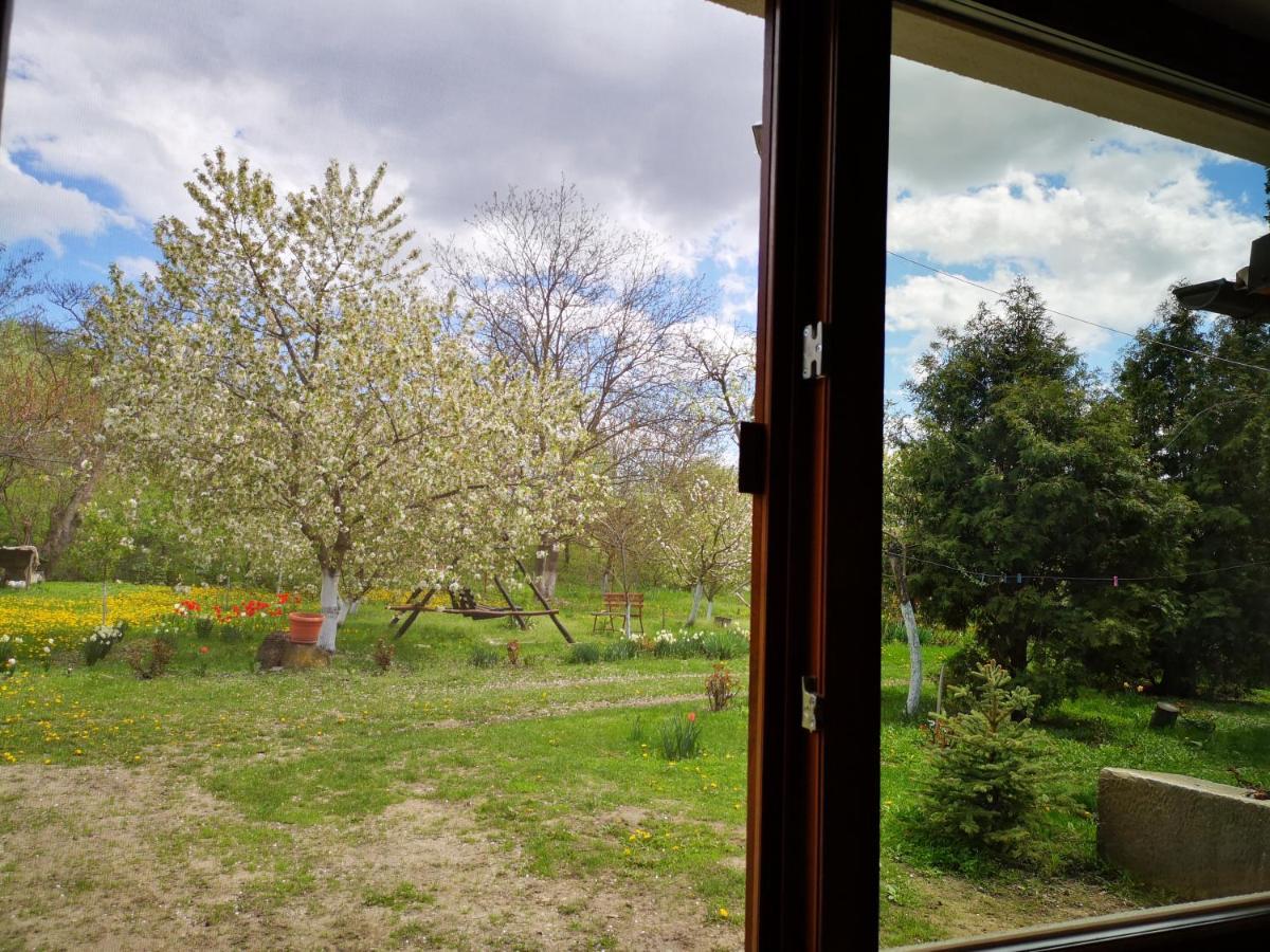 Casa Livada Bunicii Villa Tîrgu Ocna Eksteriør bilde